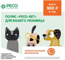 РЕСО-Гарантия запустила программу страхования домашних животных