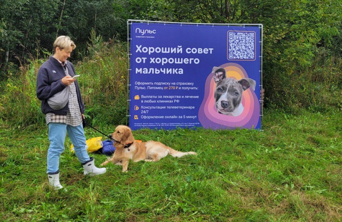 СК «Пульс» представила первую в России единую страховую защиту для собак и их хозяев