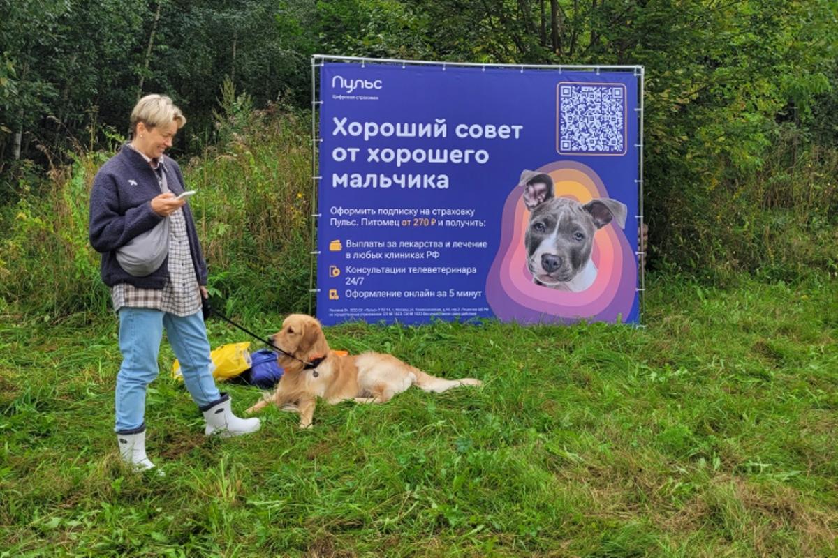 СК «Пульс» представила первую в России единую страховую защиту для собак и их хозяев