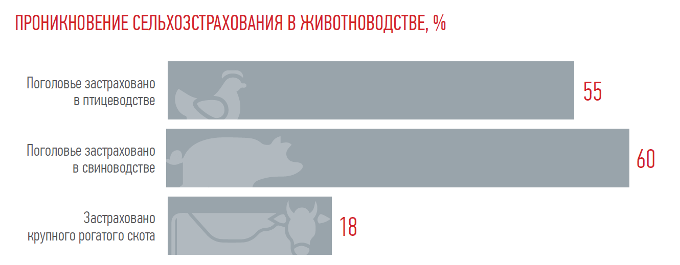 ПРОНИКНОВЕНИЕ СЕЛЬХОЗСТРАХОВАНИЯ В ЖИВОТНОВОДСТВЕ, %