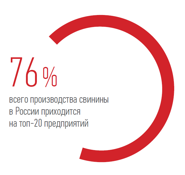 всего производства свинины в России приходится на топ-20 предприятий