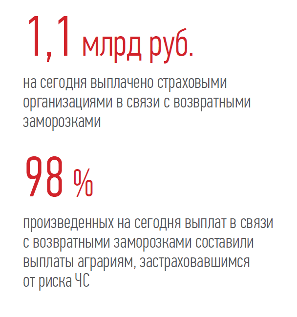 1,1 млрд руб. 98 % на сегодня выплачено страховыми организациями в связи с возвратными заморозками