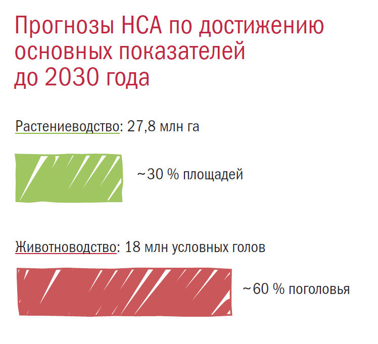 Прогнозы НСА по достижению основных показателей до 2030 года