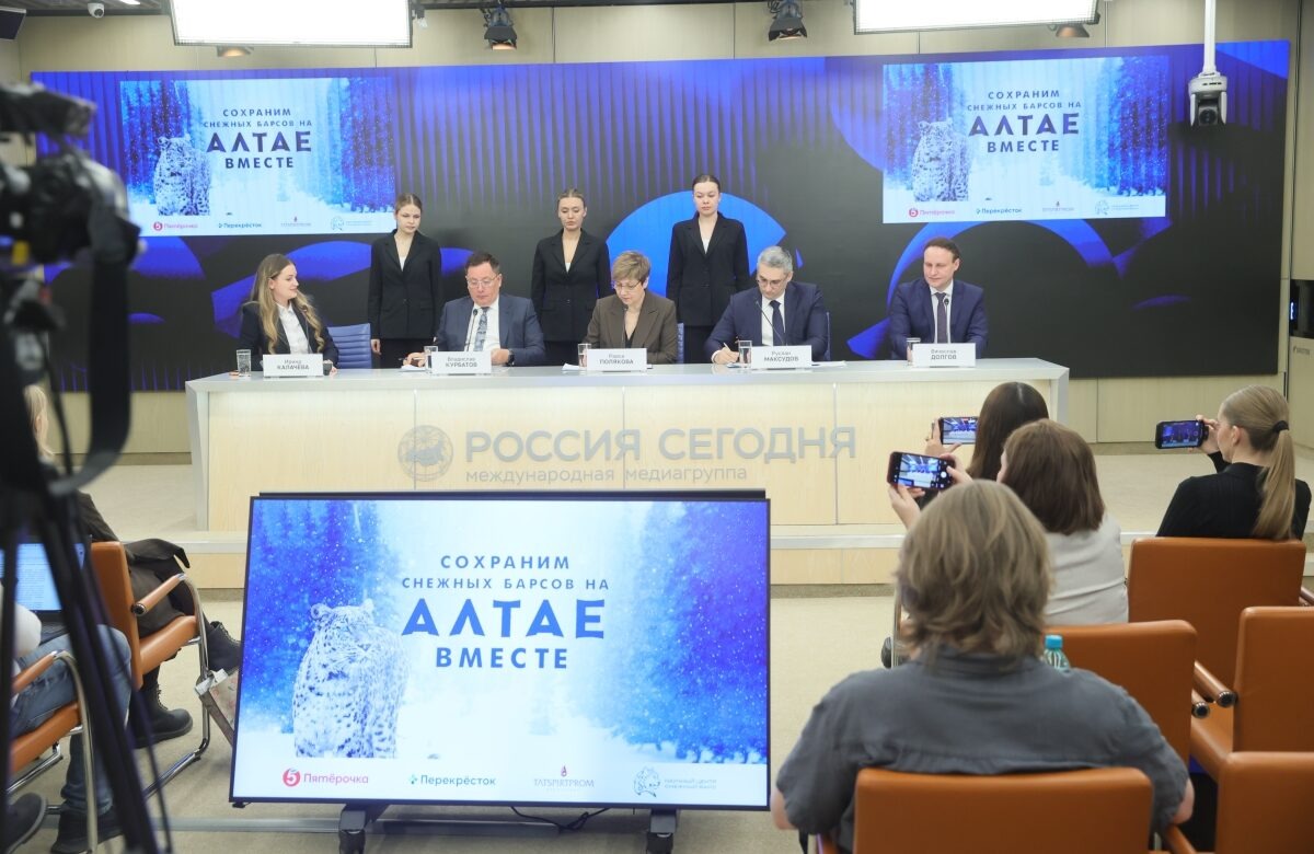 Снежный барс под защитой «Пятёрочка», «Перекрёсток», «Татспиртпром» помогут в сохранении популяции редкого вида животных