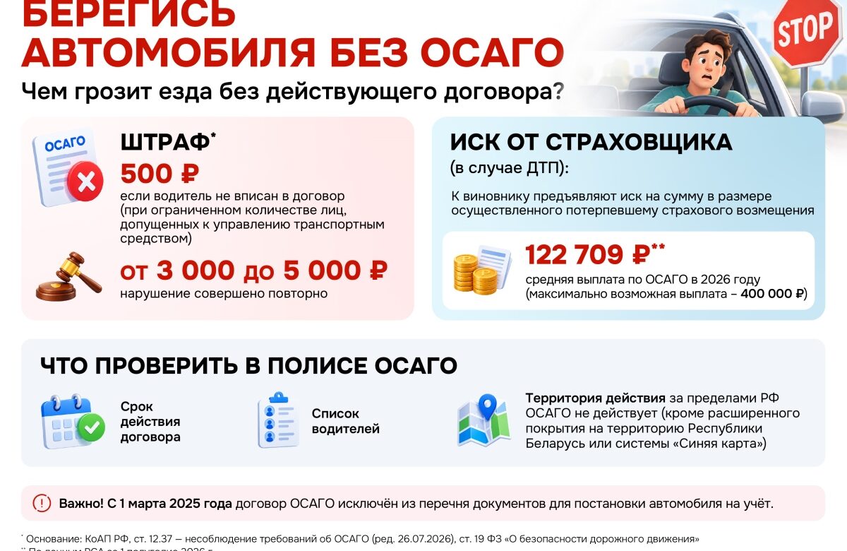Инфографика: о мерах ответственности за езду без действующего договора ОСАГО